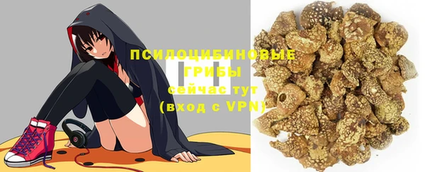 а пвп мука Богданович